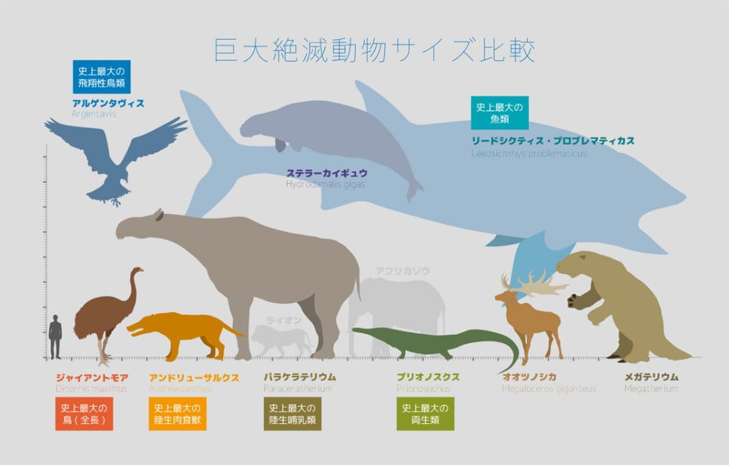 巨大絶滅動物サイズ比較 図解・グラフ・一覧・比較の画像とか