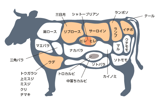 牛肉の部位 一覧 図解・グラフ・一覧・比較の画像